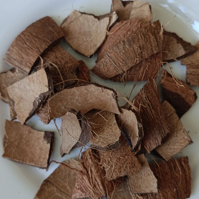 Чипсы кокосовой скарлупы