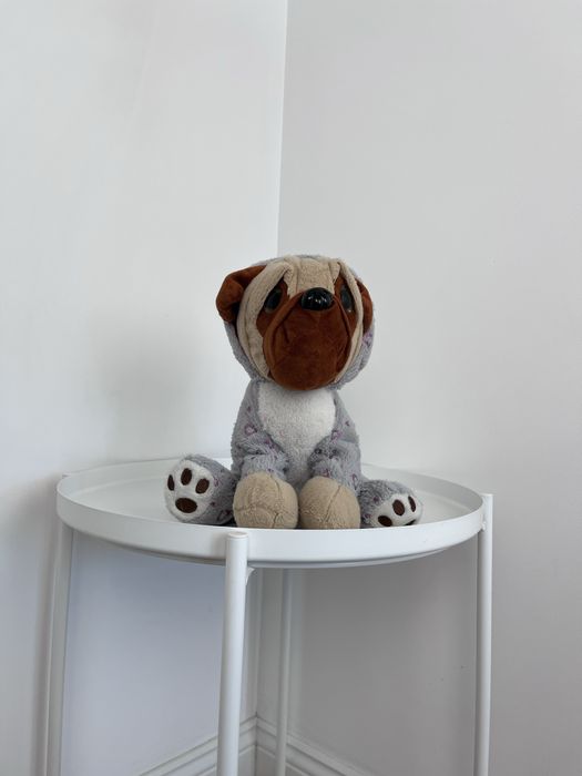 Pluszowy piesek w bluzie