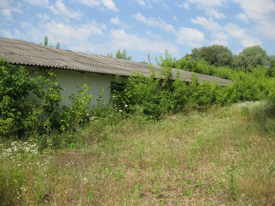 Нежитлові будівлі - с. Припруття, Чернівецька обл.