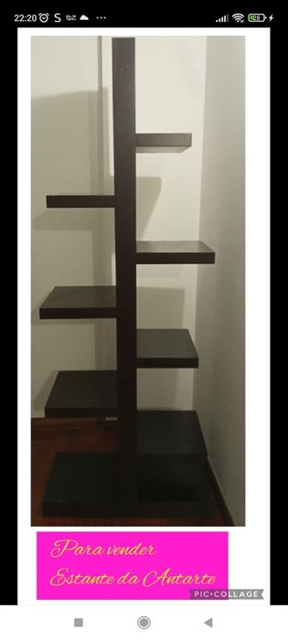 Estante Antarte moderna