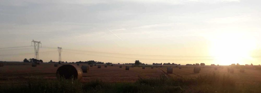 Sprzedam grunt rolny w Nowym Kanigowie gm. Bodzanów