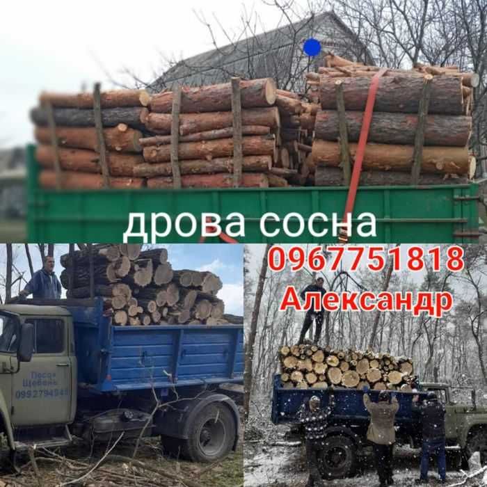 .Паливний брикет. Торфобрикет. ДРОВА. Вугілля. Дрова м