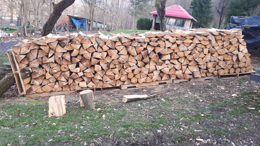 Drewno  buk transport gratis