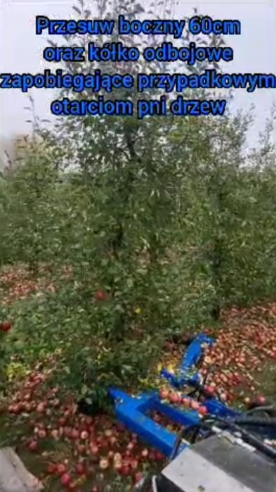 Otrząsarka hydrauliczna do jabłek / do jabłoni