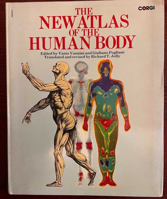 Оригинальное винтажное издание "Атлас анатомии The New Atlas of the Human Body" (1980) на английском