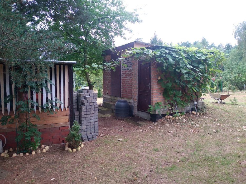 Dom – Luboń - Widok 5