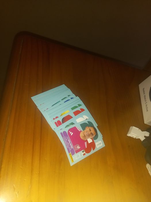 Mundial 2026 panini