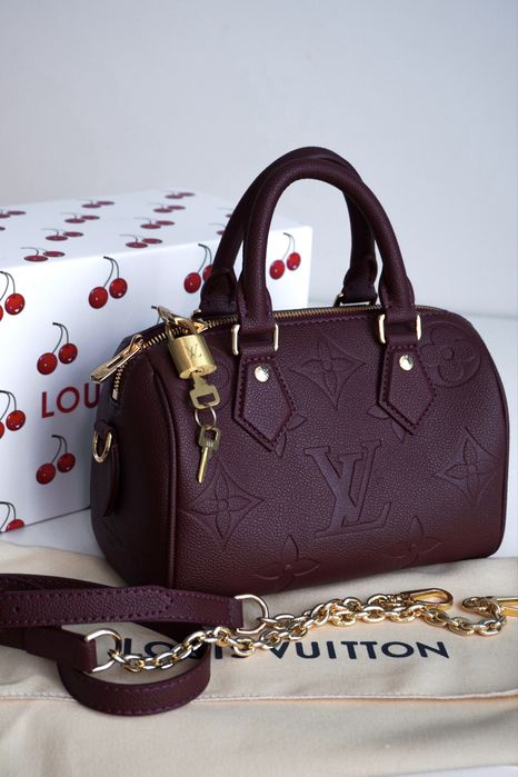 Жіноча сумка Louis Vuitton Mini Speedy