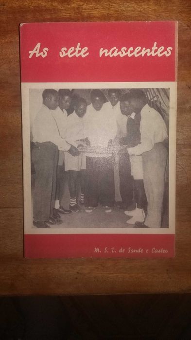 The Seven Springs, by M.S.T. de Sande e Castro