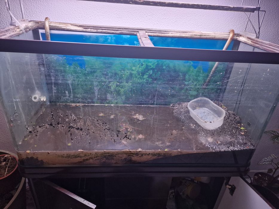 Aquario 100x50x40 + filtro + calha + kit CO2 + acessorios