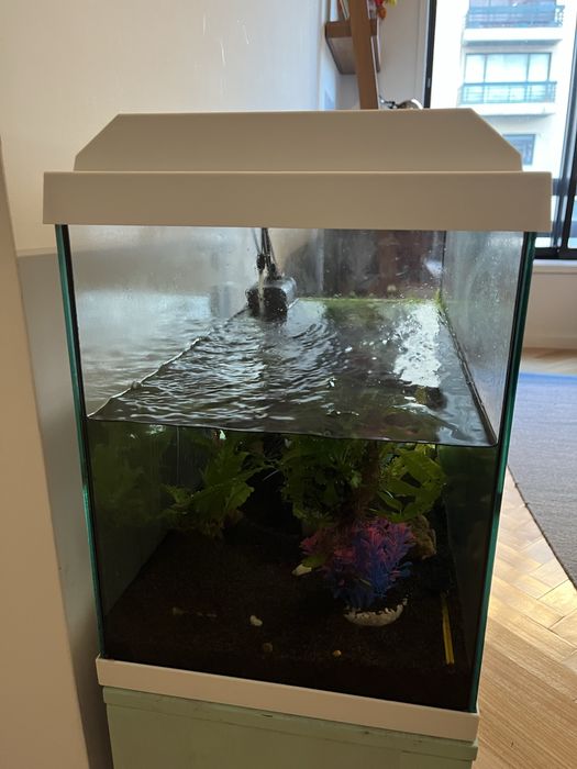 Aquário Juwel PrimoLux 60