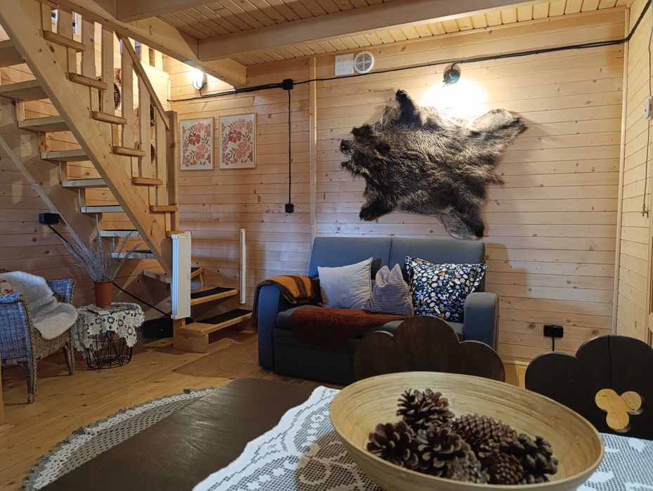 Dom  Nad Stawem do wynajęcia