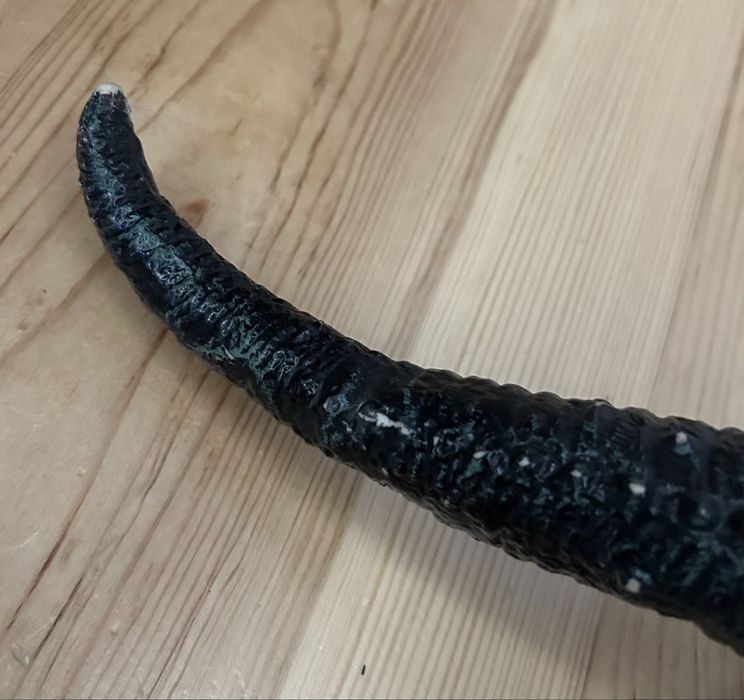 Dinozaur duzy dzwieki