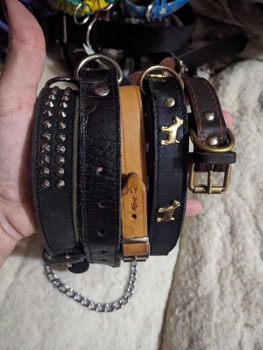 Нашийники ошейники собакам Европа крупные средние мелкие породы