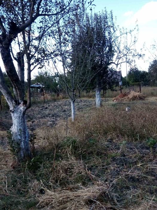 Продам дачу в Чепіліївці кооператив"Білоцерків шина"