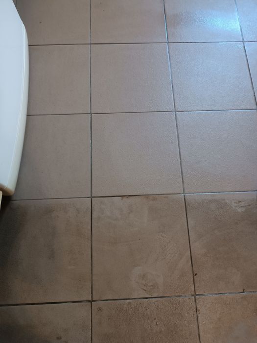 Клінінгова компанія,"Чистий дім"пропонує свої послуги.