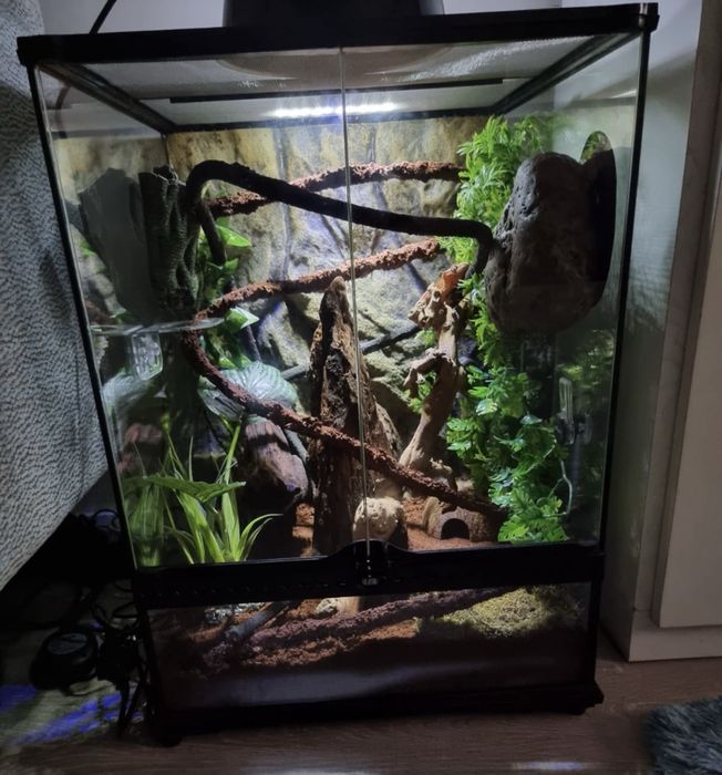 Vendo Terrário Exo Terra 45x45x60 cm – Completo e Equipado para Gecko-de-Crista