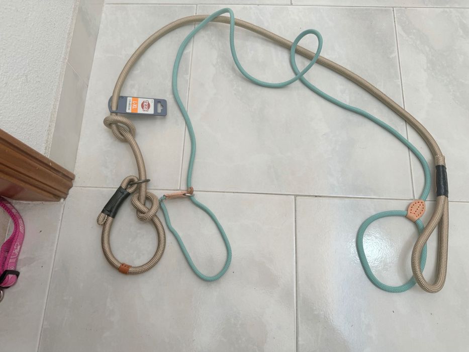 Trelas novas para cão