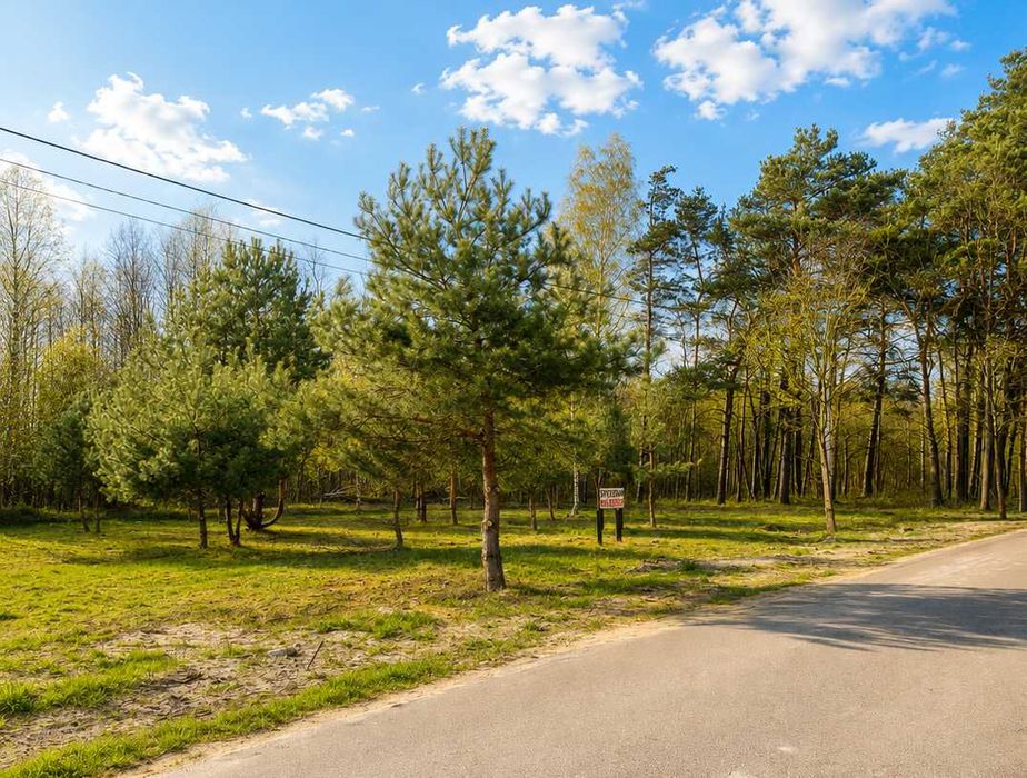 Leśna działka z projektem nowoczesnego domu — Natura 2000, okolice Pilicy - Widok 3