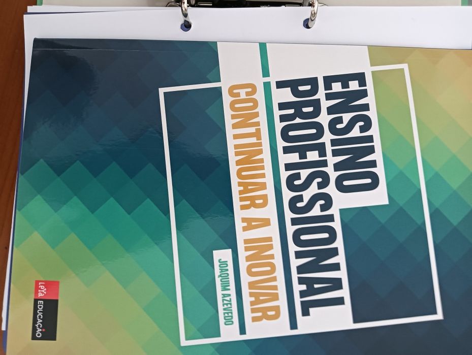 PRO em AI 2º Ano E. Profissional Texto Dossier do professor  NOVO!*