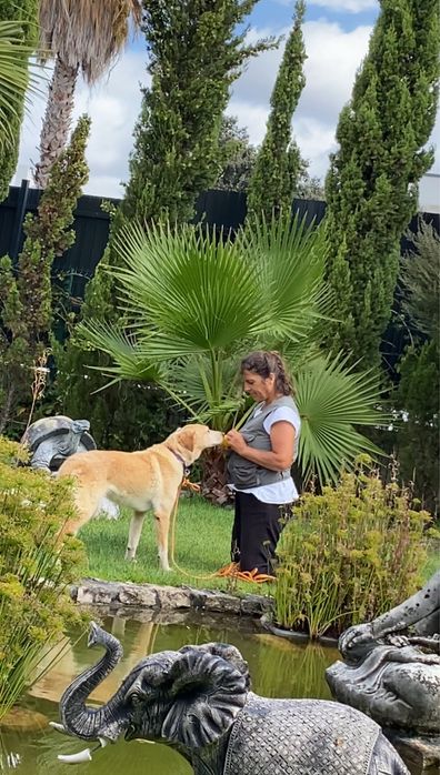 Pet Sitting/Pet walking Lisboa, Bucelas, Loures, Odivelas