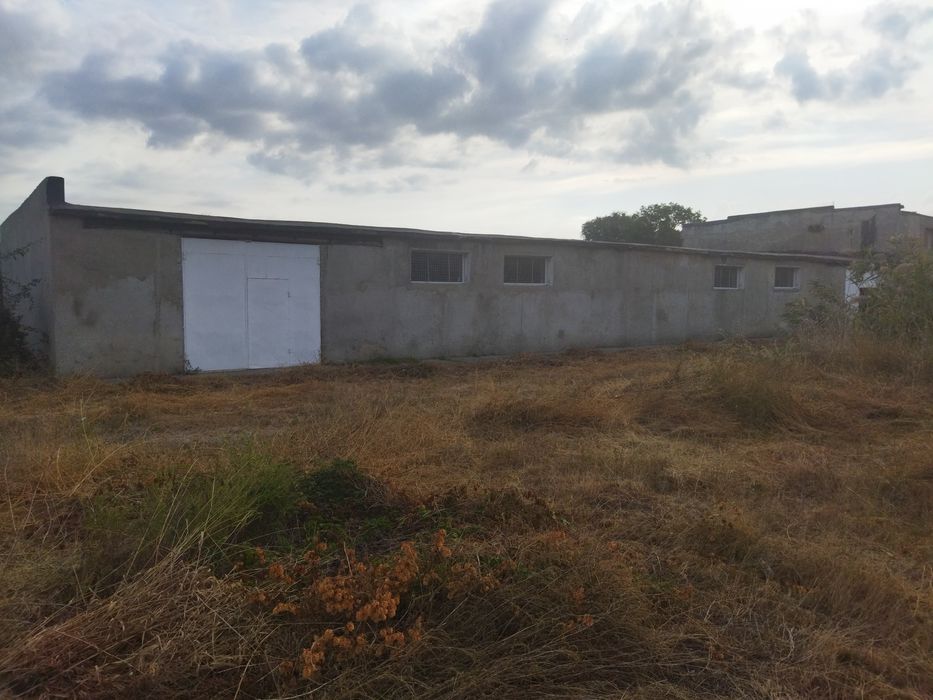 Здам в оренду овочесховище,виробничий цех та склади