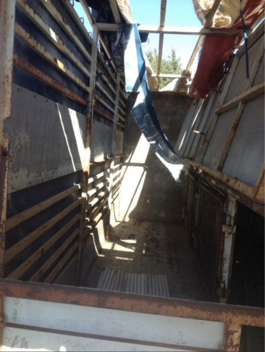 Carroçaria para gado