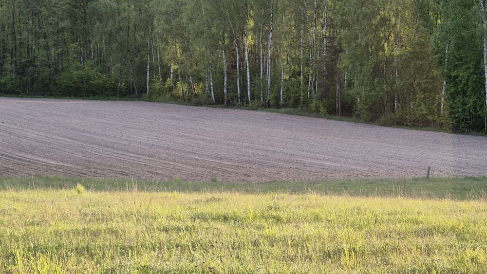 Sprzedam działkę rolno-leśną