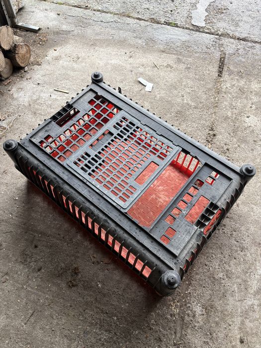 Klatki dla drobiu plastikowe