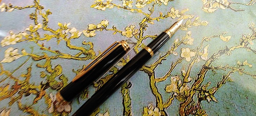 Pióro wieczne Waterman Gentleman Francja