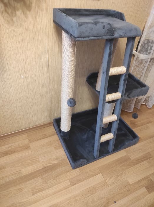 Когтеточка трёх ярусная.