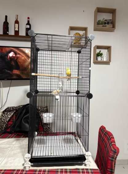 Клітка для птахів