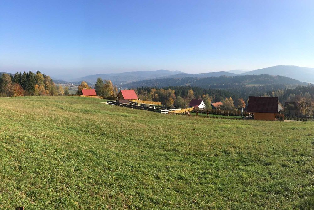 OFFROAD prezent, wieczór panieński, kawalerski, impreza firmowa