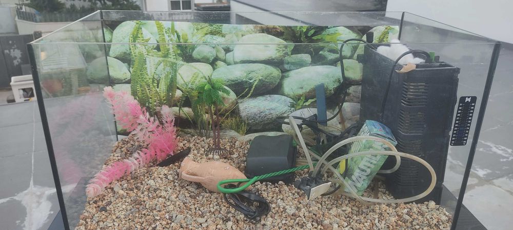 Aquário + Móvel + Acessórios