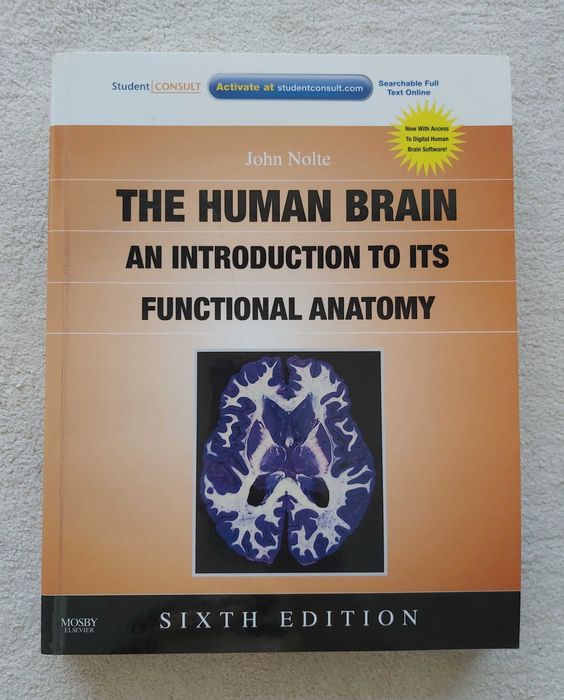 Livro de Neuroanatomia - The Human Brain - Funcional Anatomy -  Nolte