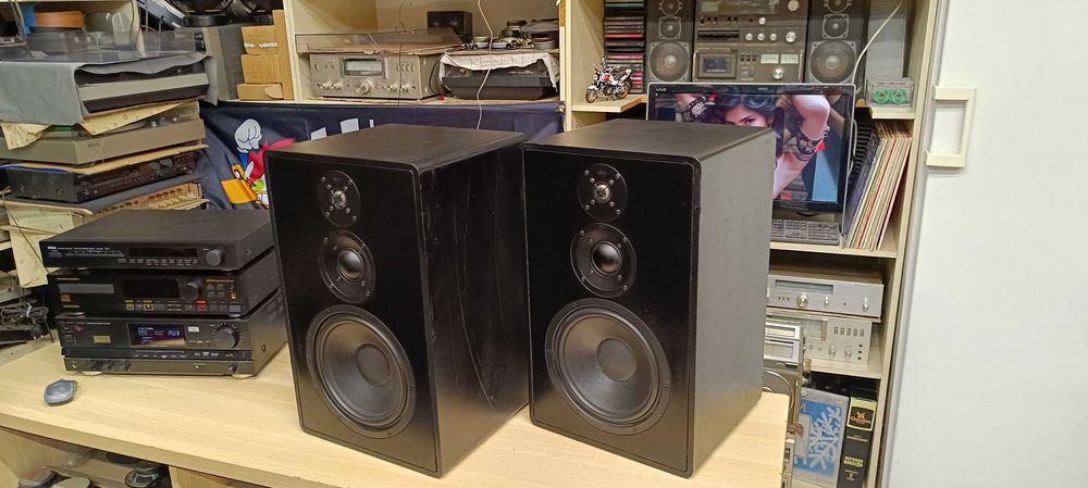 Акустика  Canton Fonum 200