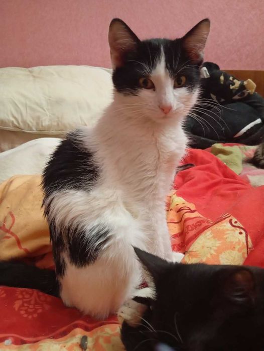 Марічка та Маратка