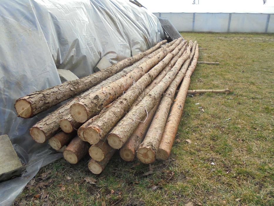 Słupki, stemple, żerdzie