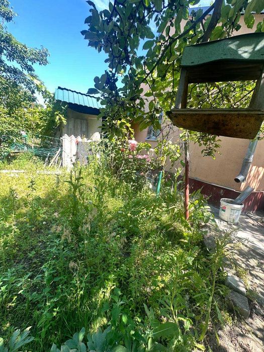 Продам дачу Чаплі, СТ Шиянка