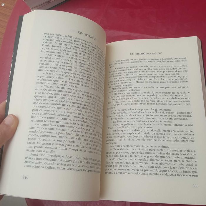 Livro: Um brilho no escuro