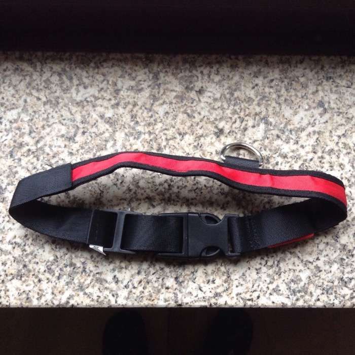 Coleira para cães com led`s inclui interruptor (v.unid.)