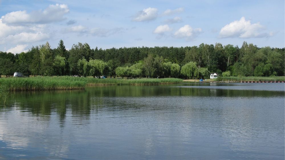 Zdjęcie 6