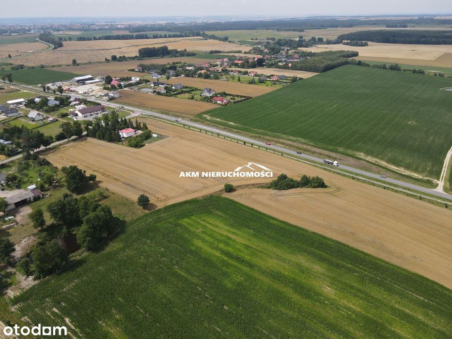 działki budowlane w Rakowcu - Widok 4
