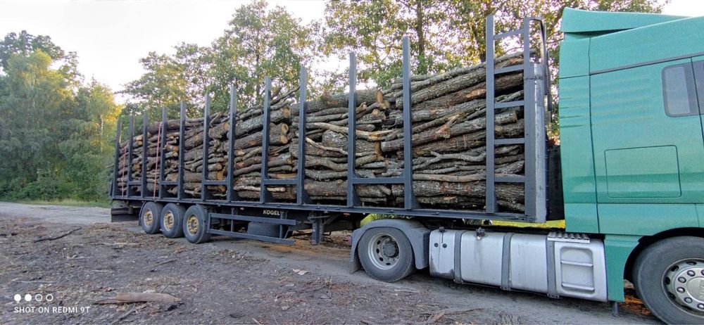 Дрова Дубові з Доставкою по Київській області, Дуб Дрова