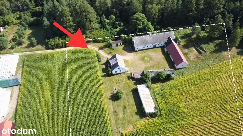 Siedlisko Na Podlasiu | 1,28 Ha| Dom + Zabudowania | Las Obok | M.huta