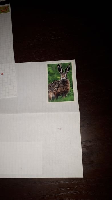 Papeteria rękodzieło plus notesik