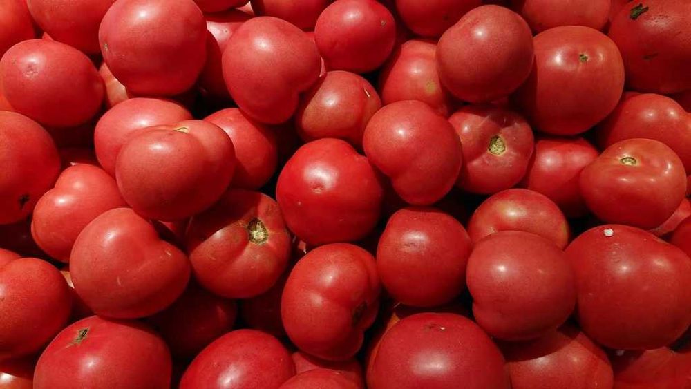 Pimenta Capia, tomates frescos, cenouras