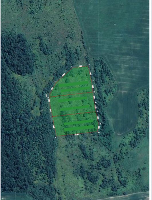 6 га землі в оренду безкоштовно на 3 роки (Мостиська ОТГ)