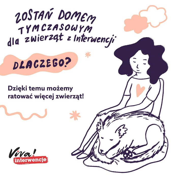 Szukamy domów tymczasowych - Warszawa i okolice