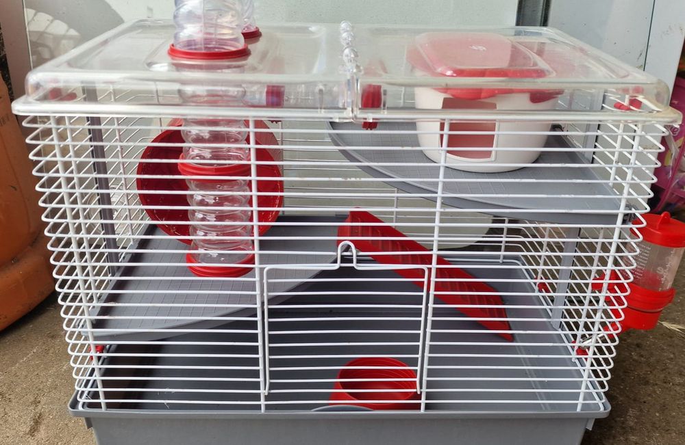 Gaiola Hamster Pino